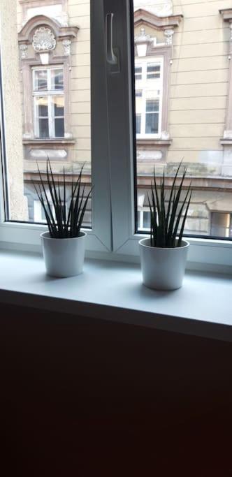 Ferienwohnung Zachod Slonca Nad Wisla Krakau Exterior foto
